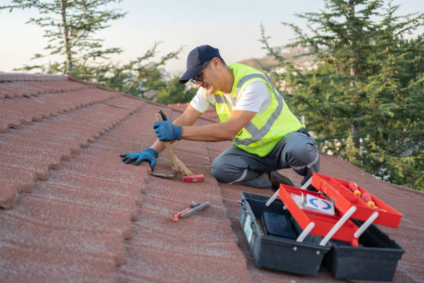 Best Roof Maintenance Services  in Rohnert Park, CA