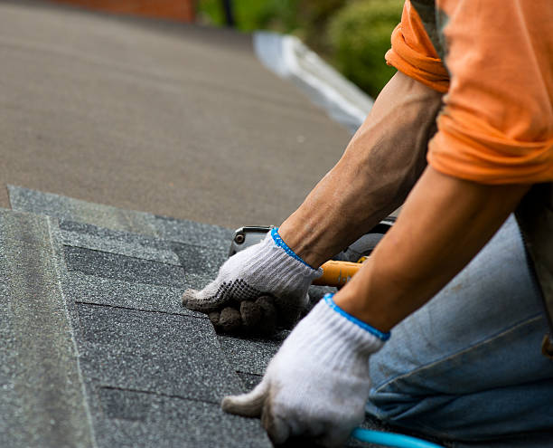 Best Residential Roofing Contractor  in Rohnert Park, CA