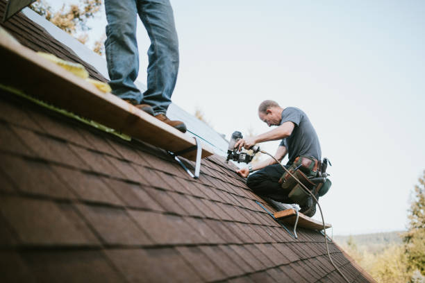 Best Metal Roofing Contractor  in Rohnert Park, CA